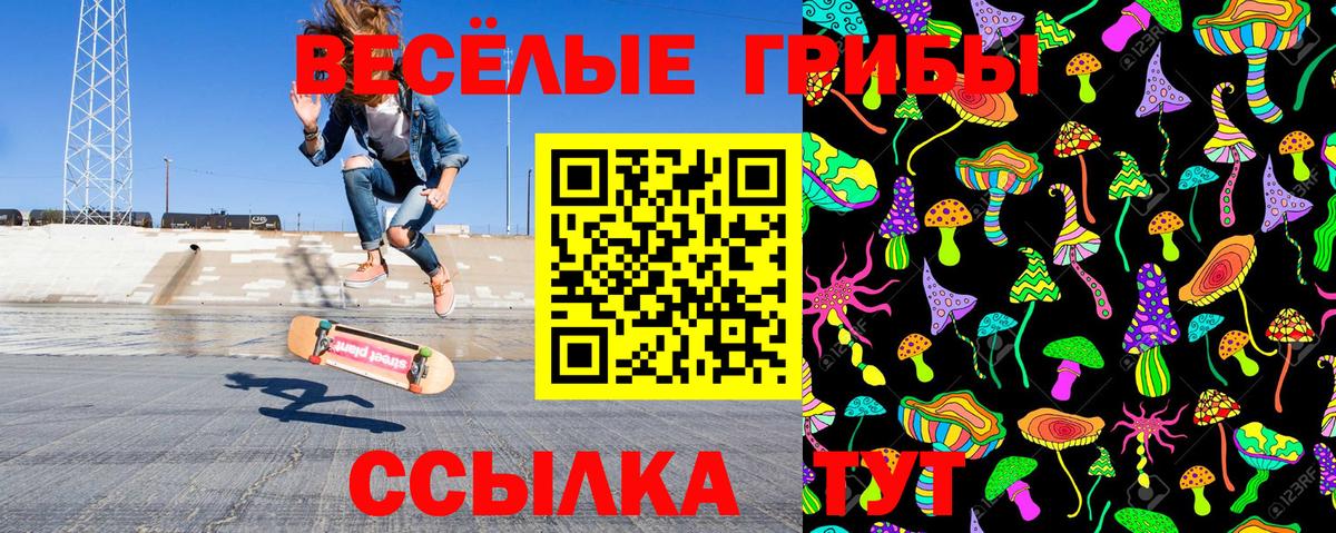Зерноград  Галлюциногенные грибы GOLDEN TEACHER  Вход с VPN 